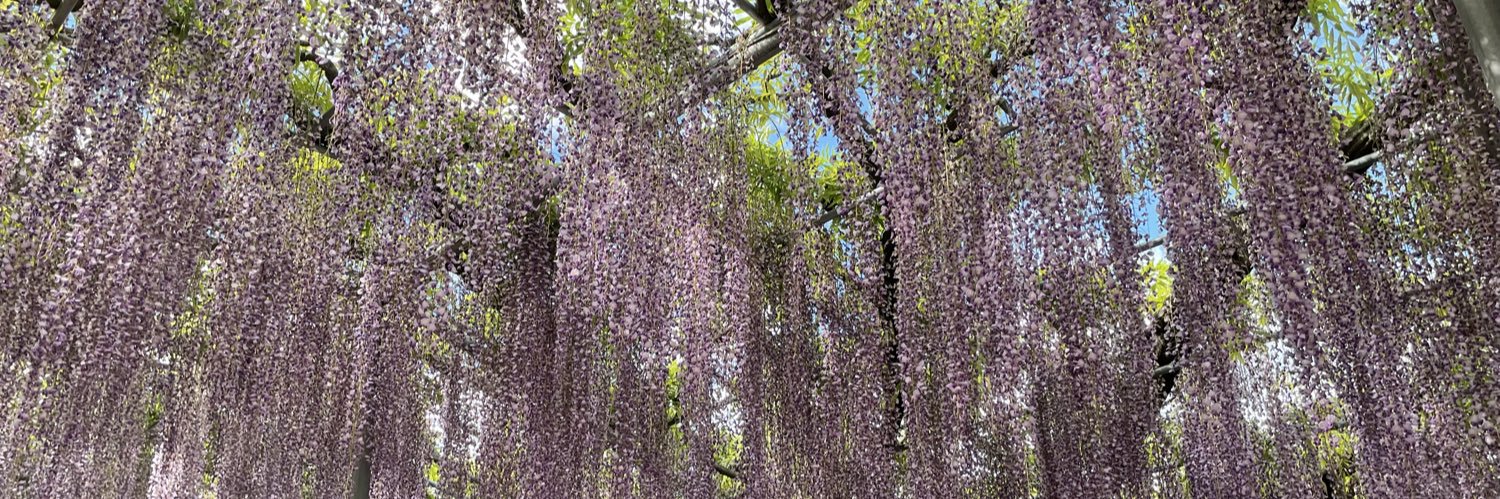 人を幸せにあゆちゃん億り人になりたいシンプルライフスタイル banner