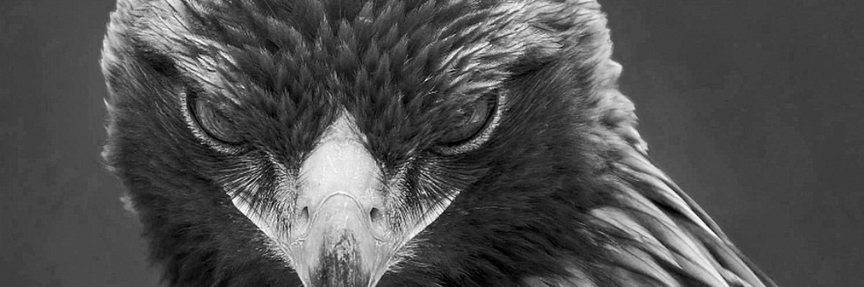 sefakose6's profile banner image