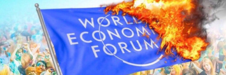 World Economic Fraud. banner