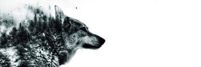 Alpagu_I's profile banner image