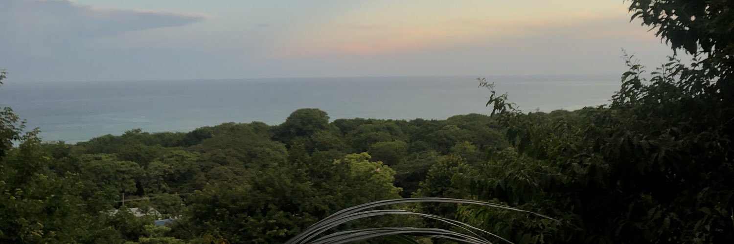 altrvistic's profile banner image