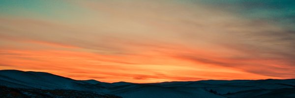 SleepDoctorTal Profile Banner