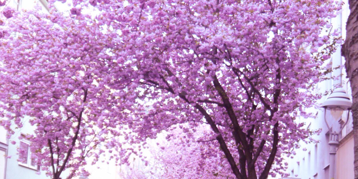 LyndaDoubleYou's profile banner image