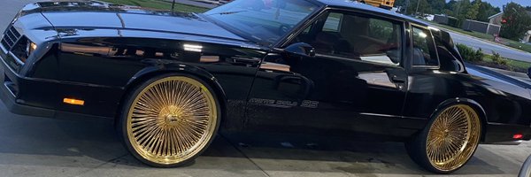 BxtchImWoo Profile Banner