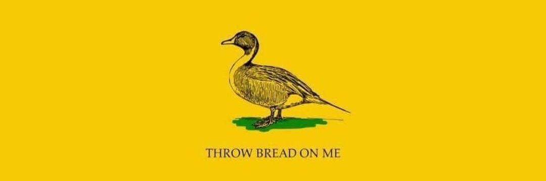 halithewett's profile banner image