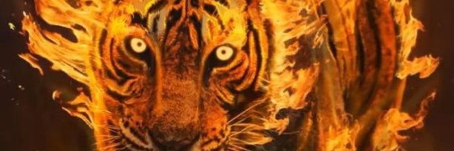 máximos décimos meridios banner