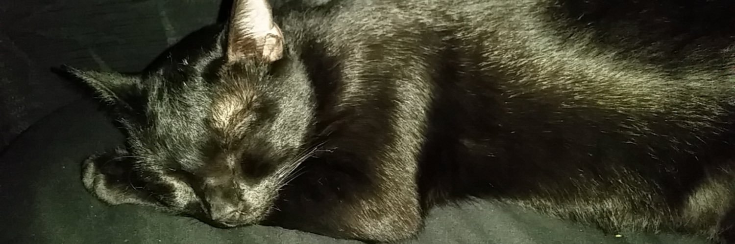 SaraKlander's profile banner image