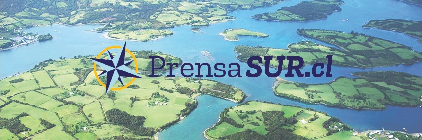 Prensa Sur banner