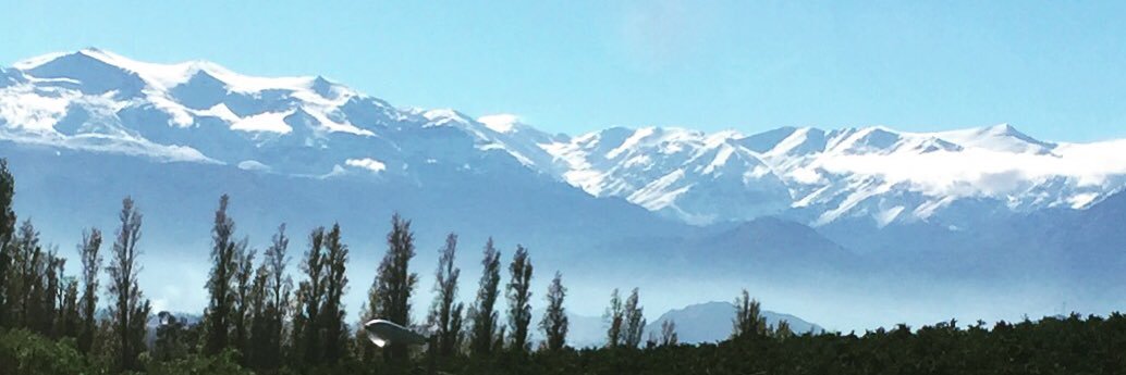 cotelake's profile banner image