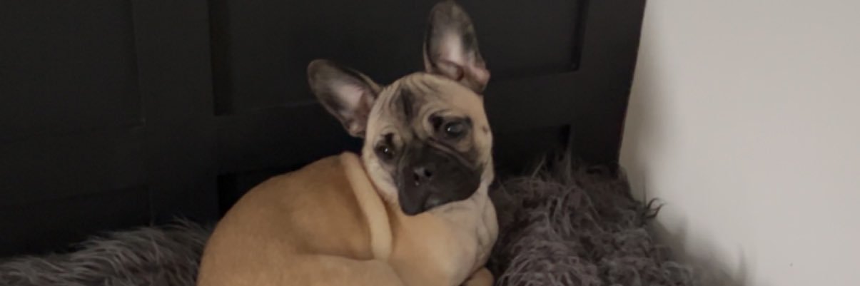 kenziegalloway's profile banner image