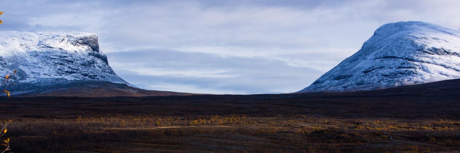 Béatrice Karjalainen banner