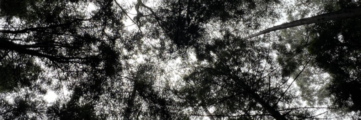 _Icanboogie's profile banner image