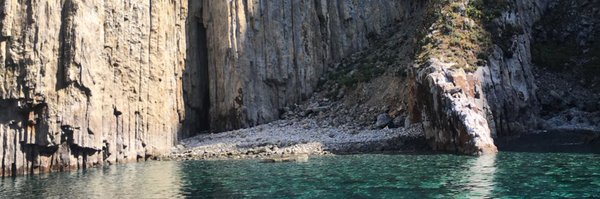 sophieorbaum Profile Banner