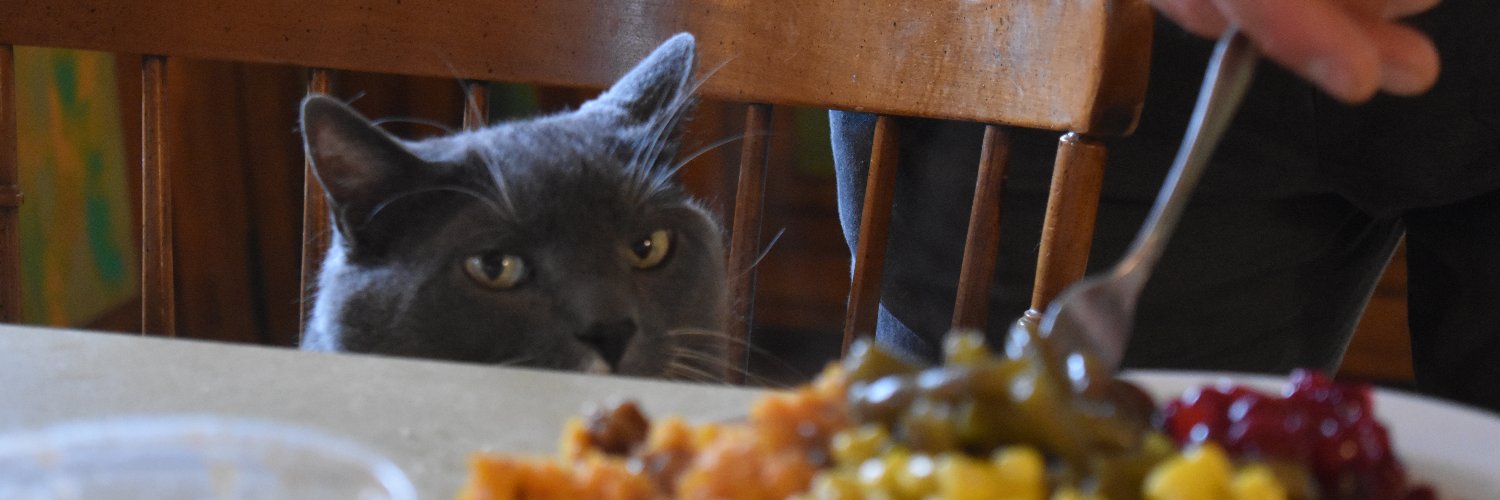 midimouse's profile banner image