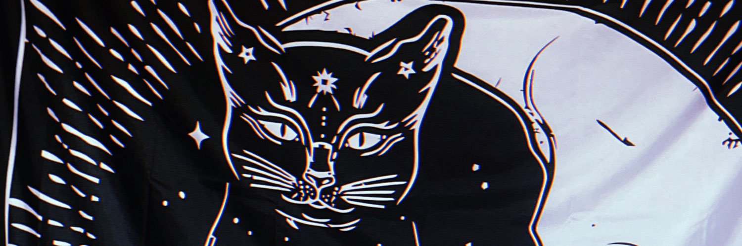 FLWsnow's profile banner image