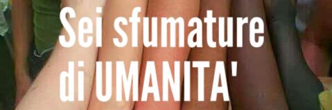 MarcelloLopez 🏳️‍🌈  banner