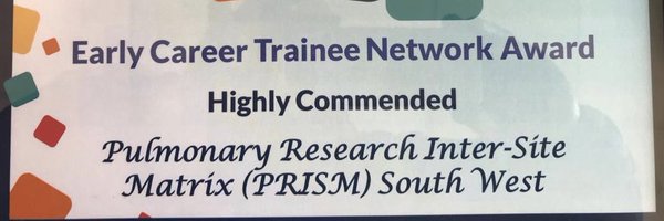 SwPrism Profile Banner