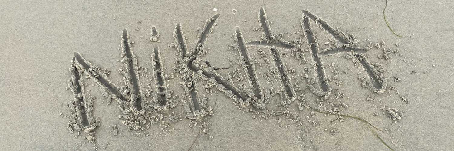 nikitapino's profile banner image