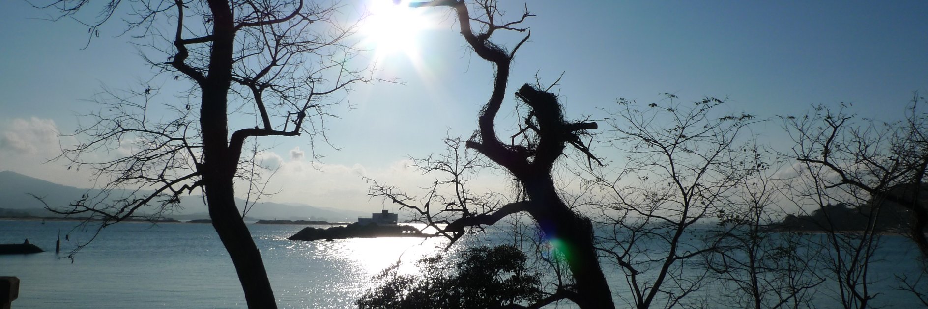 raquelrcu's profile banner image