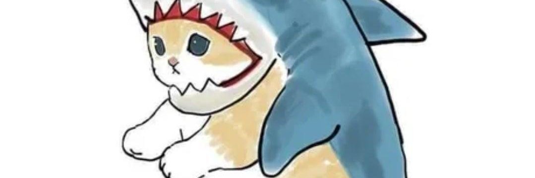 Porotypical's profile banner image