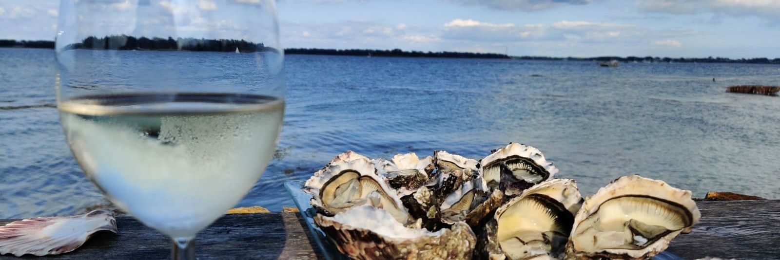 P.LQ. 🇨🇵🇪🇺 banner