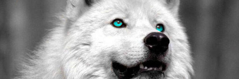 reinxonday's profile banner image