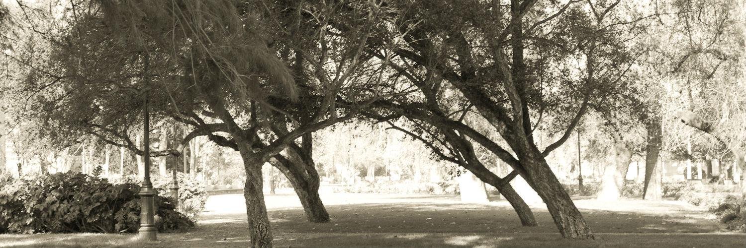 Notas de Campo banner