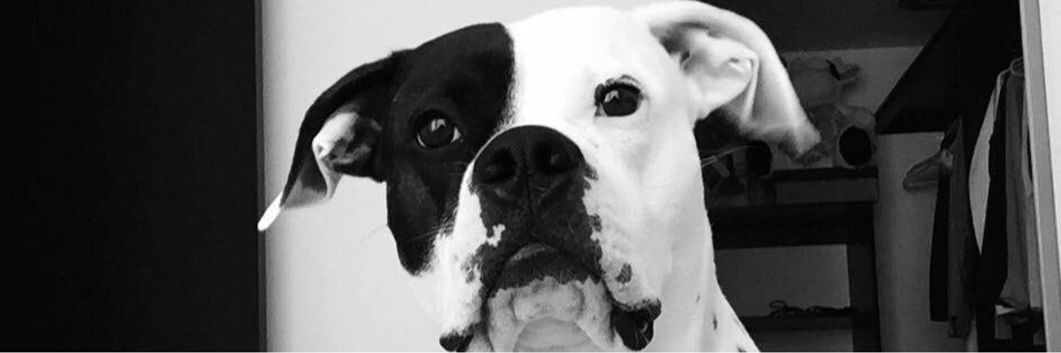 shaynandre's profile banner image