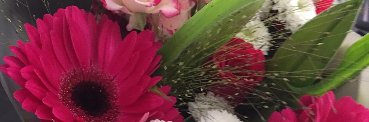 sophia_acker's profile banner image