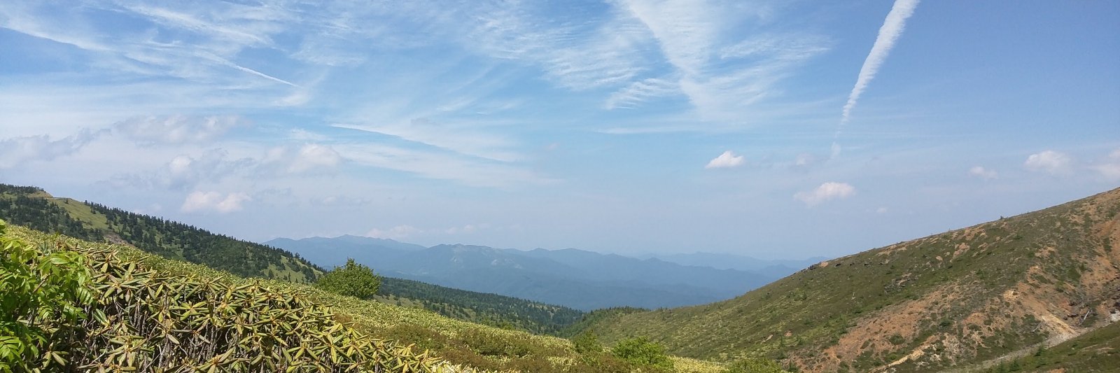 FreeSexAso's profile banner image
