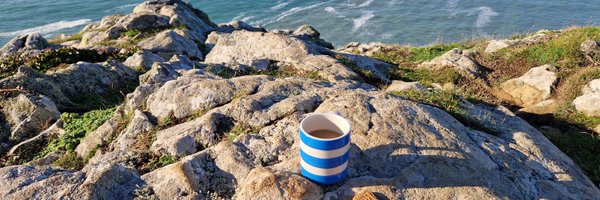 Pukekobird Profile Banner