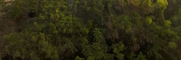 Rogerio2977 Profile Banner