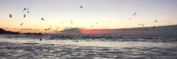 sioauthor Profile Banner