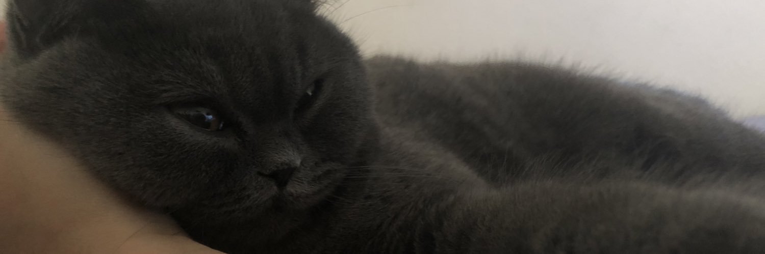 basaque1's profile banner image