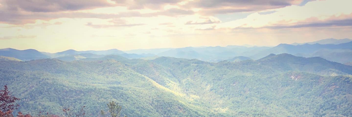 Mackenzie Webster banner