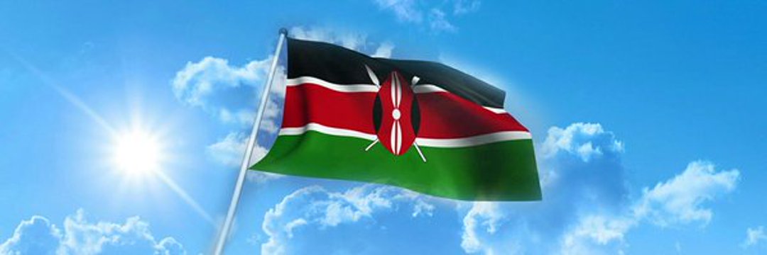 Demokratischer Selbstjustizler 🇰🇪🇩🇪. banner