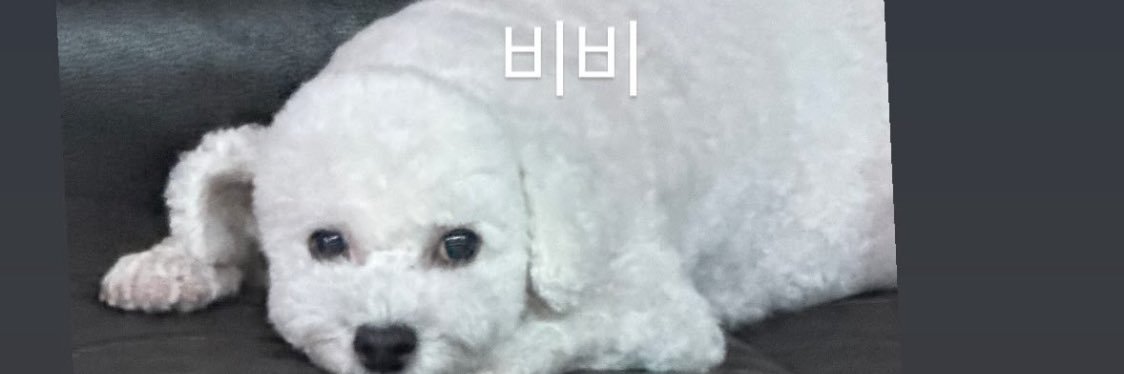 ปริ๊นี (จะไปคอนเอ็กโซ) banner