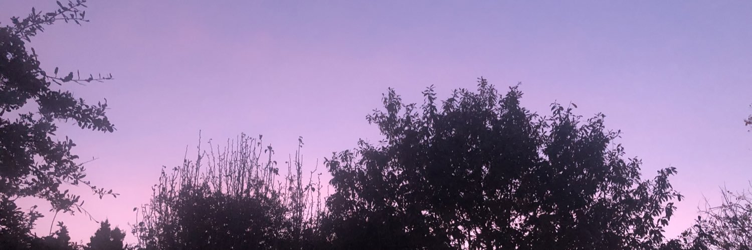 eeecho999's profile banner image