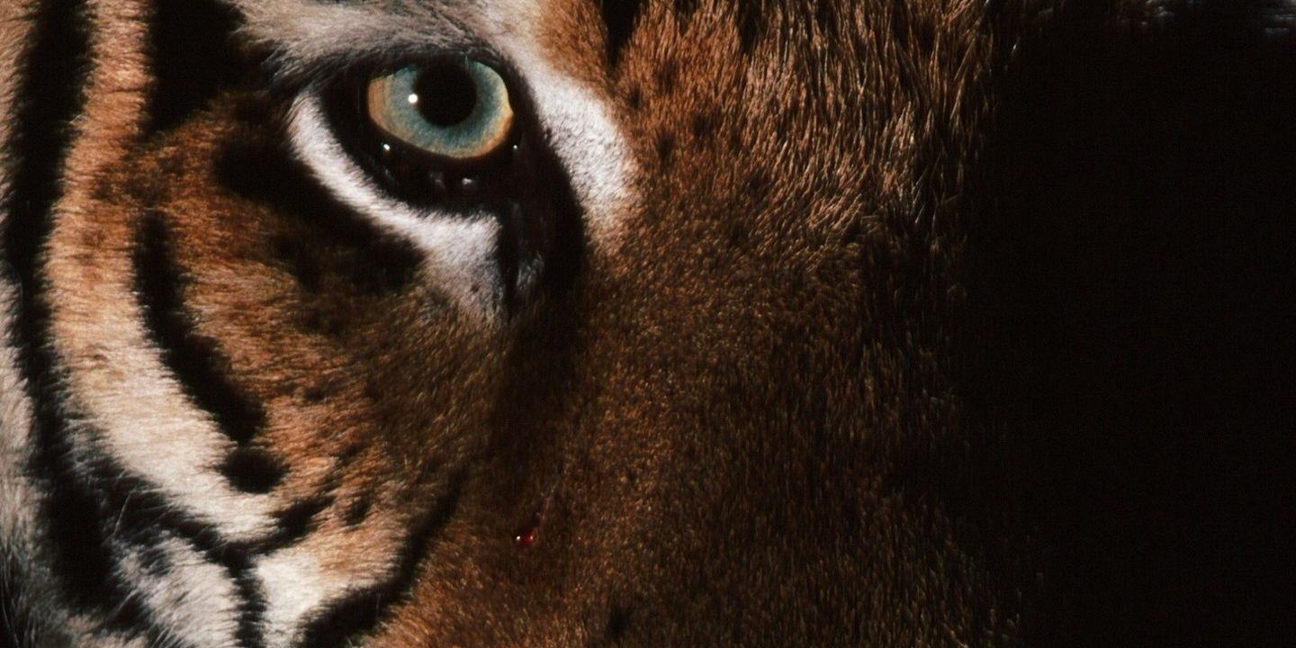 StephenLMoore2's profile banner image