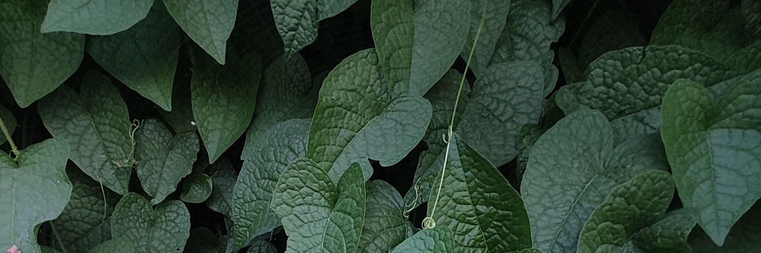 thaliaroox1's profile banner image