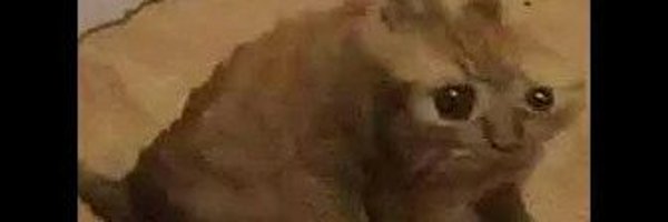ghostympa Profile Banner
