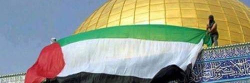 AlaaSam78158880's profile banner image