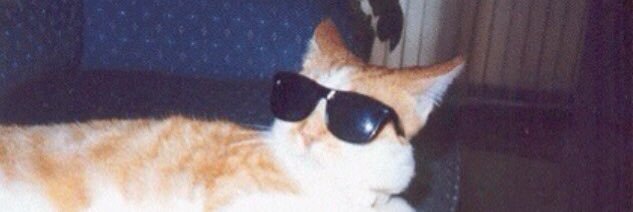 keepcoolfool's profile banner image