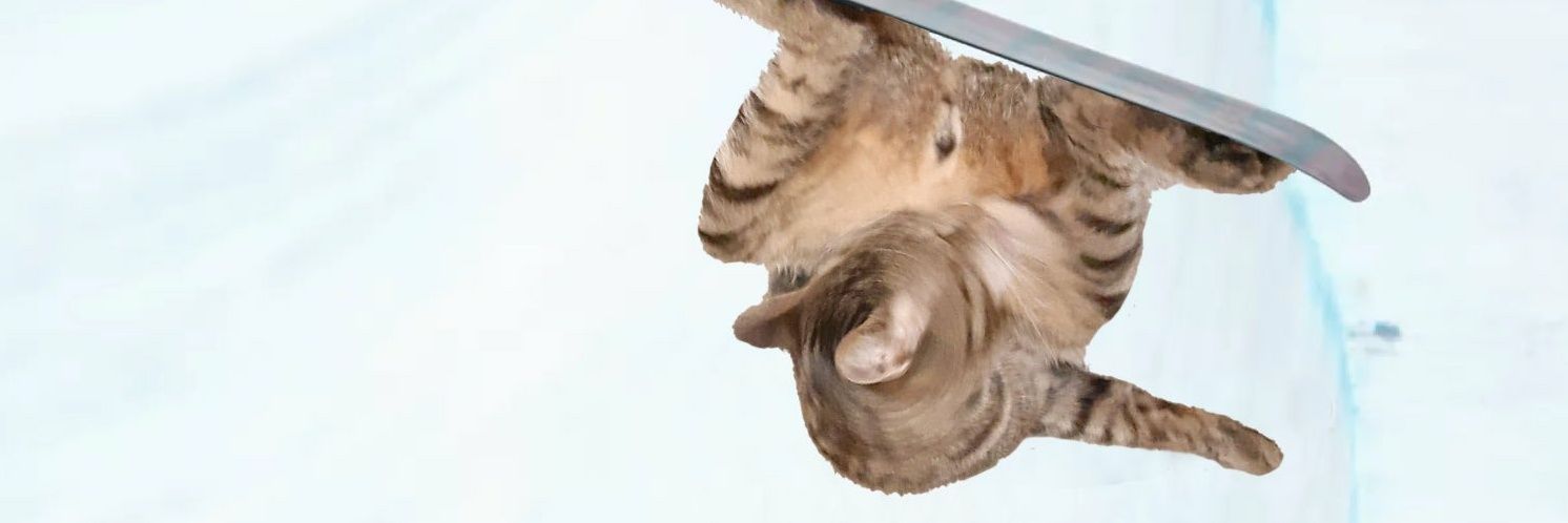 @furthermoore.bsky.social banner