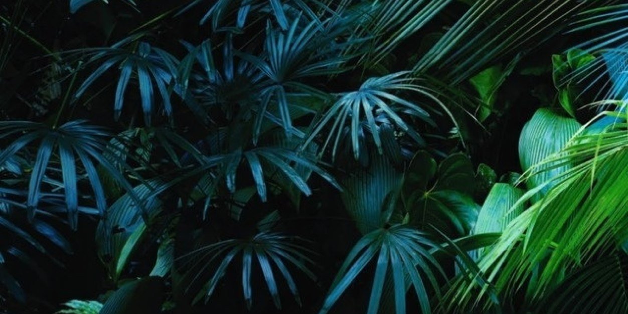 LonnieLibrary's profile banner image