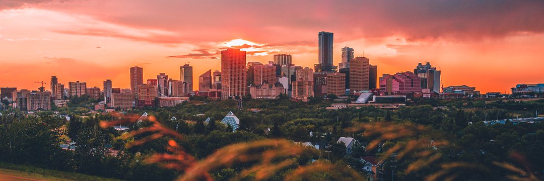 Traci Bednard banner