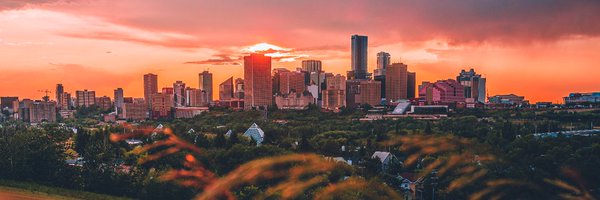 tracibednard Profile Banner