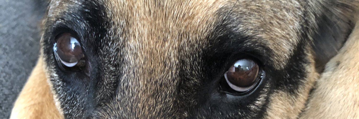 UltraProudPatroit banner