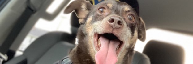 JoshAgee8's profile banner image