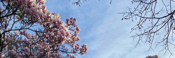 BannonCat Profile Banner